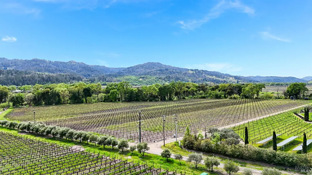 3867 Silverado Trail Calistoga, CA 94515