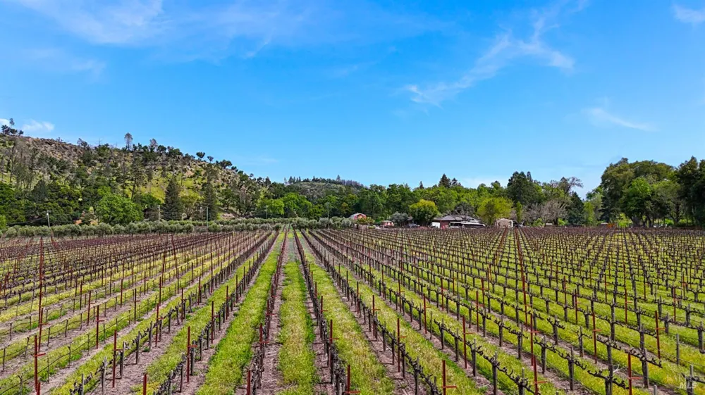 3867 Silverado Trail Calistoga, CA 94515