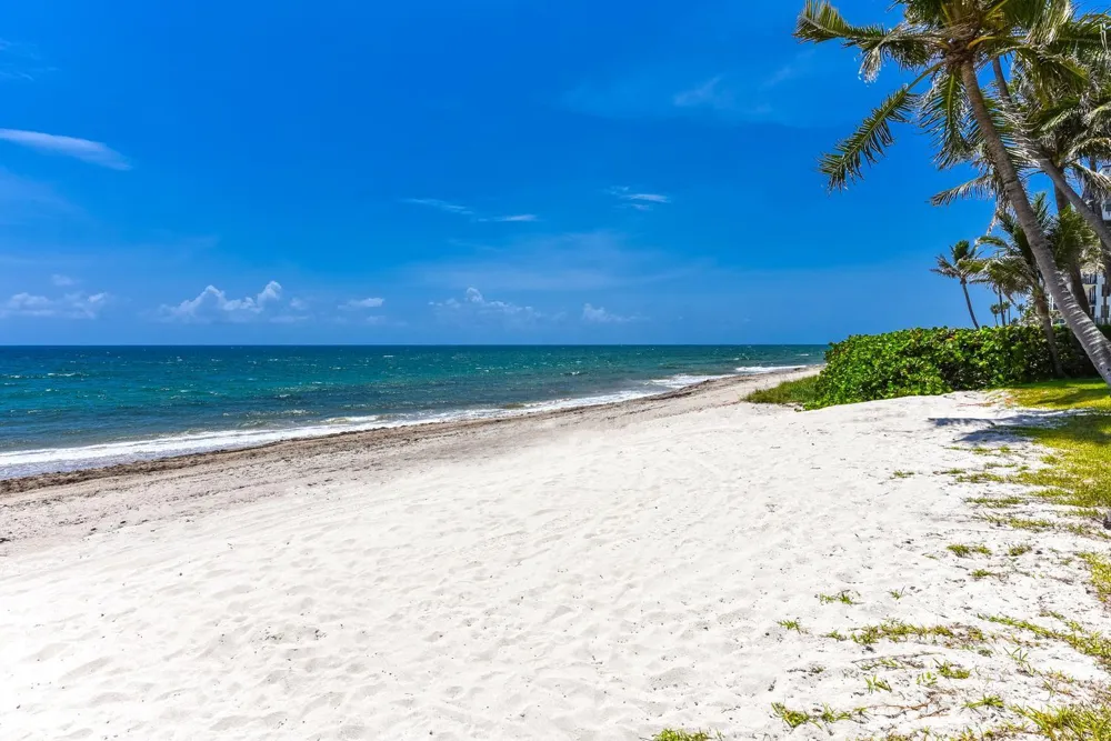 1172 Hillsboro Mile #2-4 Hillsboro Beach, FL 33062