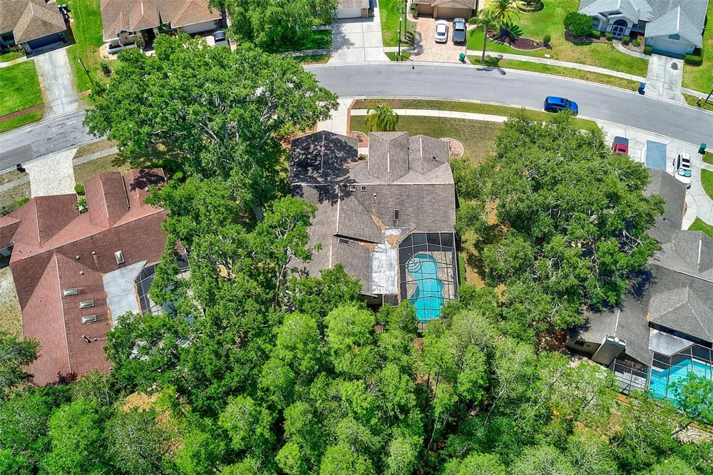 9757 HERMOSILLO DRIVE New Port Richey, FL 34655