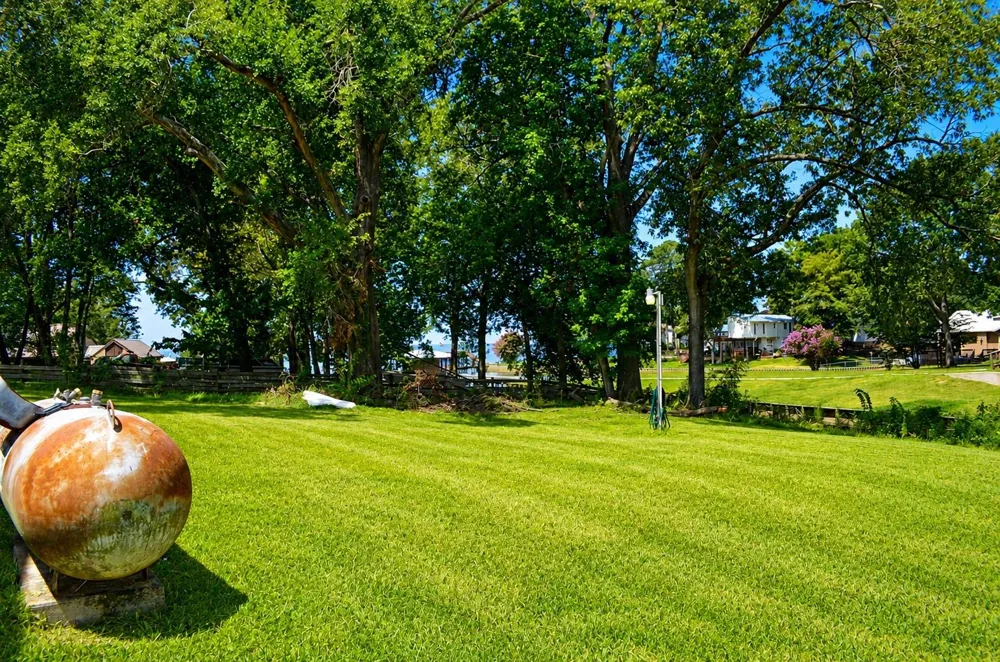 242 Lamenda Avenue Livingston, TX 77351