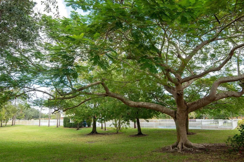 44 SE SEDONA CIRCLE #102 Stuart, FL 34994