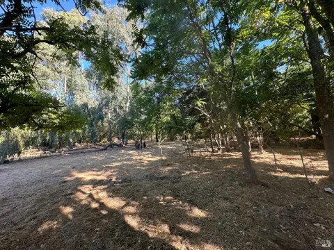 250 Napa Road