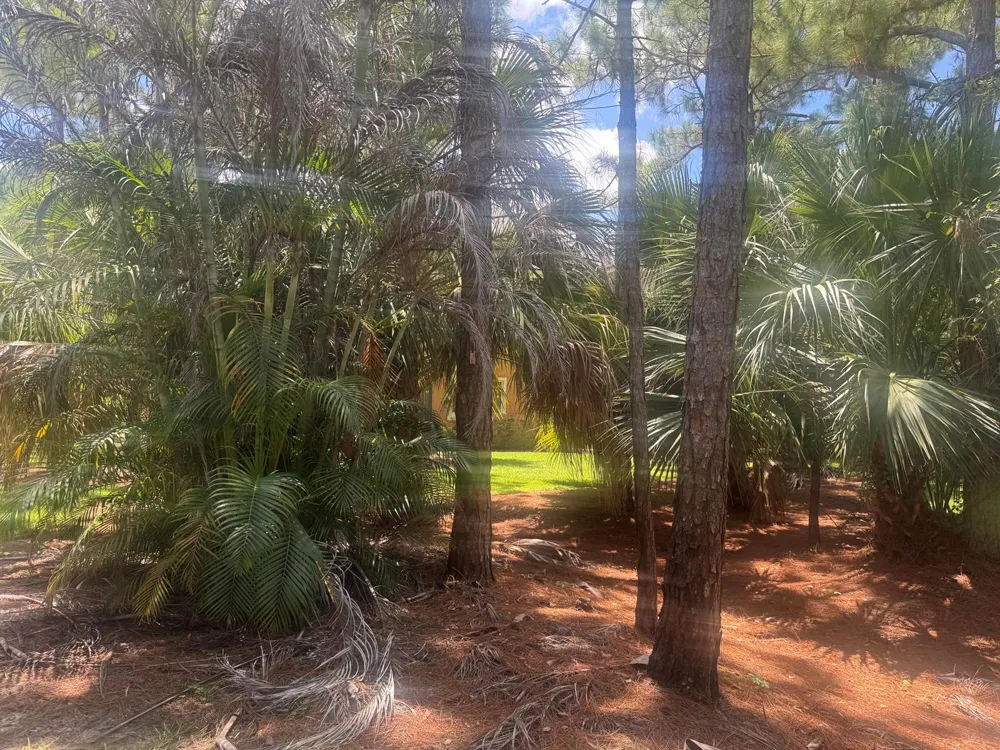 8235 MULLIGAN CIRCLE #3512 Port St. Lucie, FL 34986