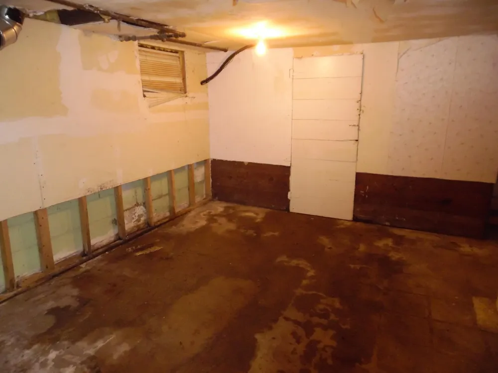 305 W High Street Jackson City, MI 49203