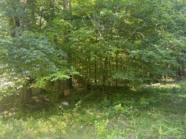 171 Woodland Drive Cairo, NY 12413