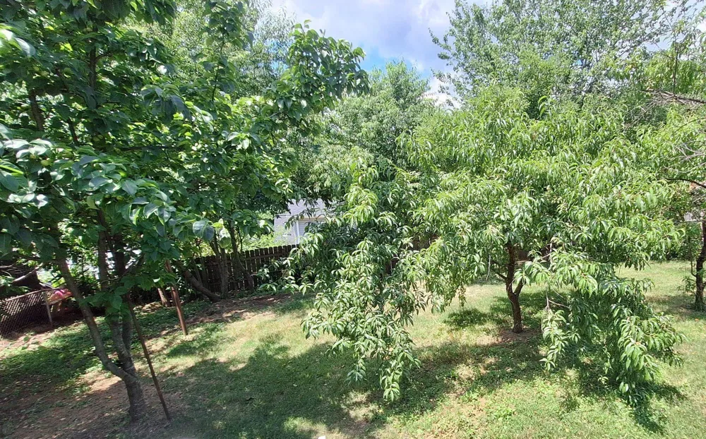 2020 S POLLARD STREET Arlington, VA 22204