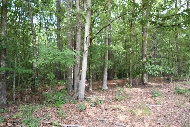 00 Garner Road Snow Camp, NC 27349