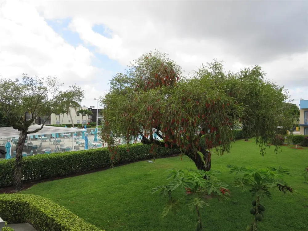 557 BURGUNDY L #557 Delray Beach, FL 33484