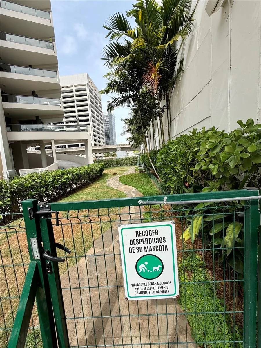 120 Ave Carlos E Chardon QUANTUM METROCENTER #1904 San Juan, PR 00918