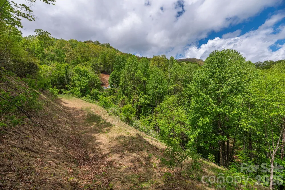 391 Valley View Drive Maggie Valley, NC 28751