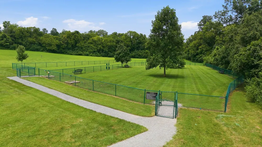 3387 Vinemont Drive Thompsons Station, TN 37179