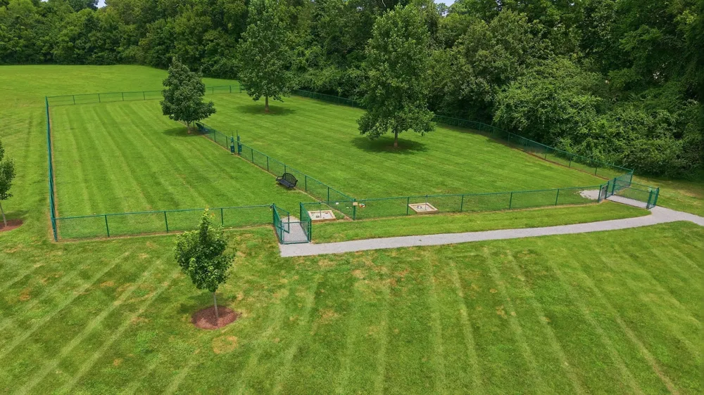 3387 Vinemont Drive Thompsons Station, TN 37179