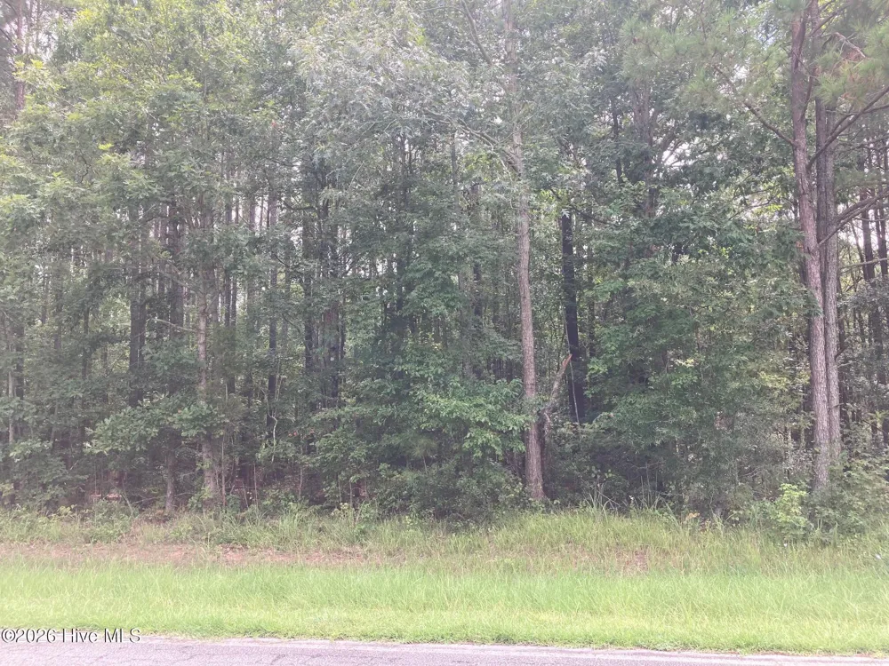 Lot # 33 33 Pine Crest Road Bath, NC 27808