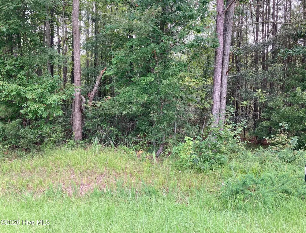 Lot # 33 33 Pine Crest Road Bath, NC 27808