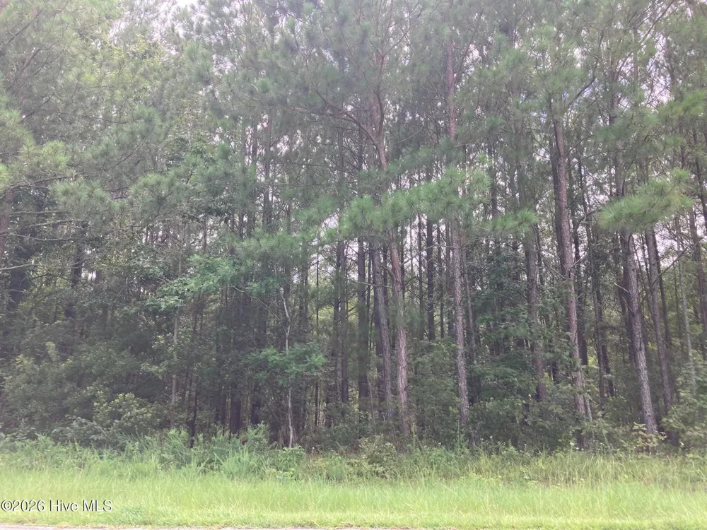 Lot # 33 33 Pine Crest Road Bath, NC 27808