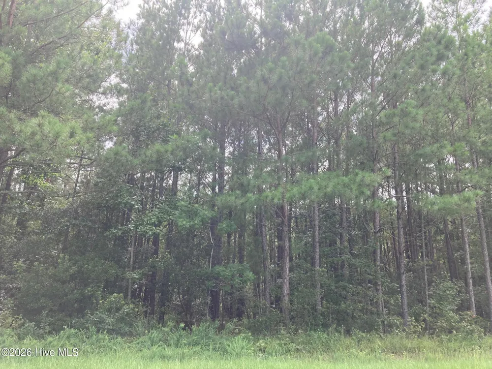 Lot # 33 33 Pine Crest Road Bath, NC 27808