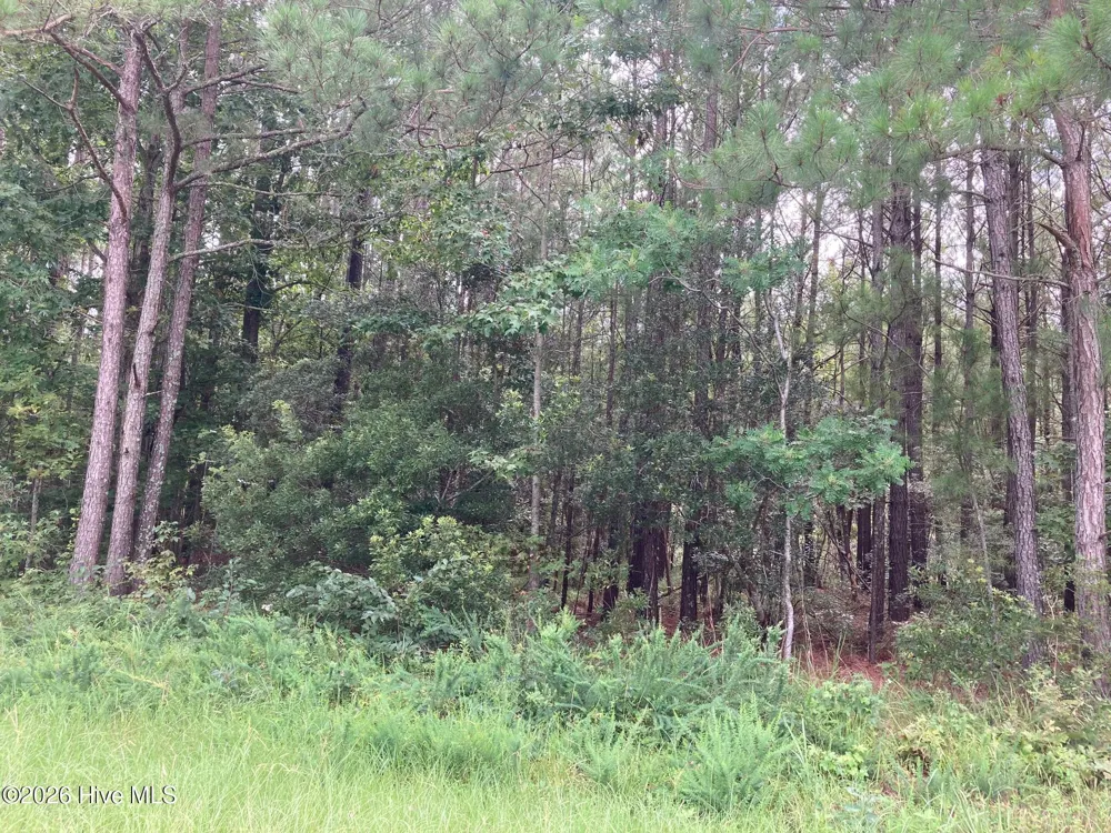Lot # 33 33 Pine Crest Road Bath, NC 27808