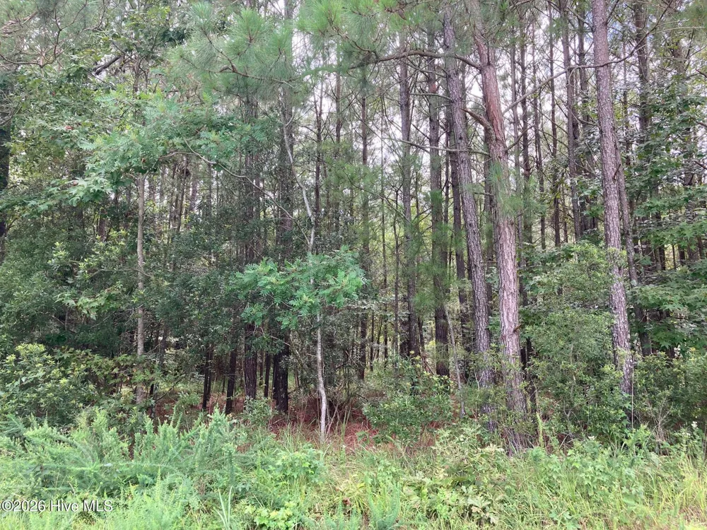 Lot # 33 33 Pine Crest Road Bath, NC 27808