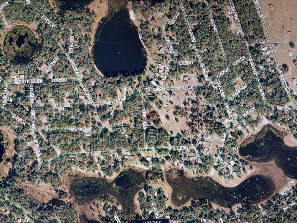 6181 SE 168TH AVENUE Ocklawaha, FL 32179