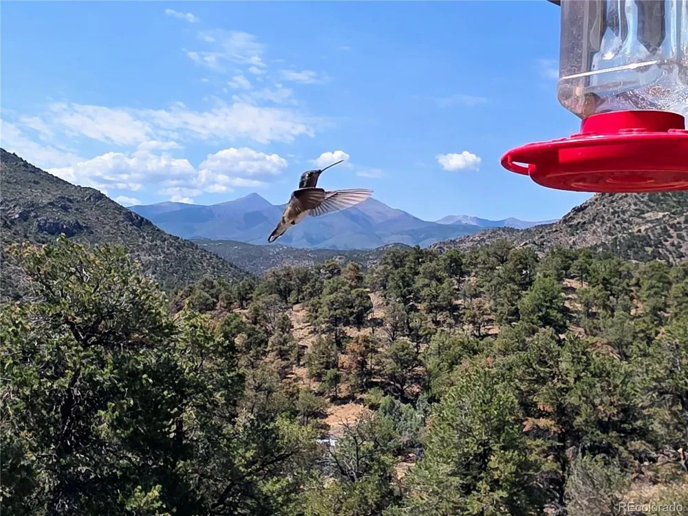 291 County Road 51 Cotopaxi, CO 81223