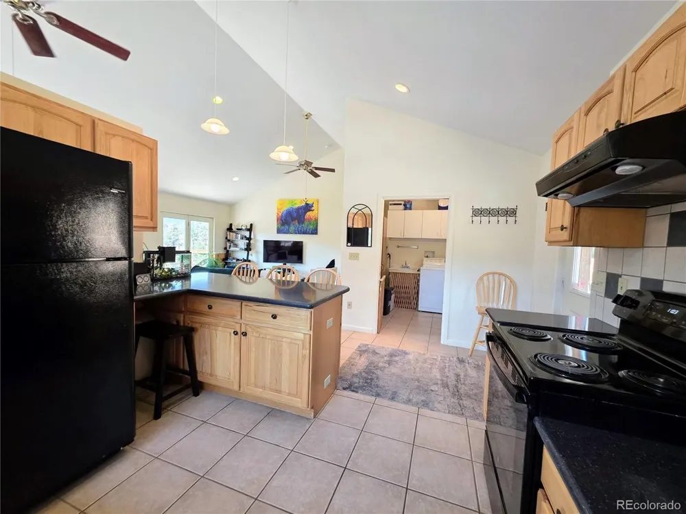 291 County Road 51 Cotopaxi, CO 81223