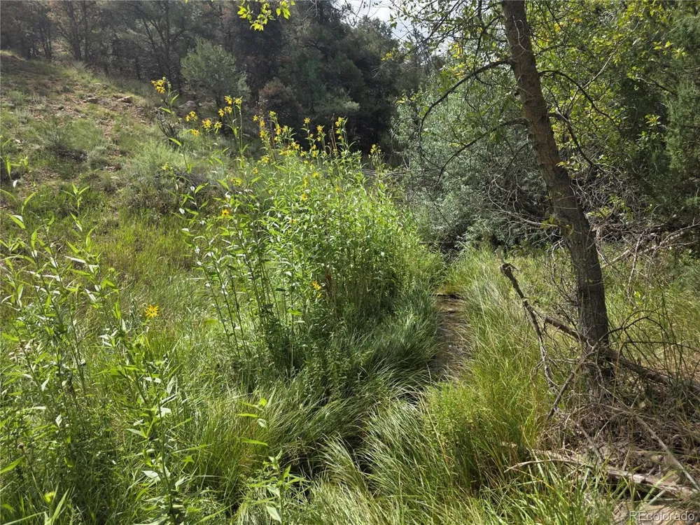 291 County Road 51 Cotopaxi, CO 81223
