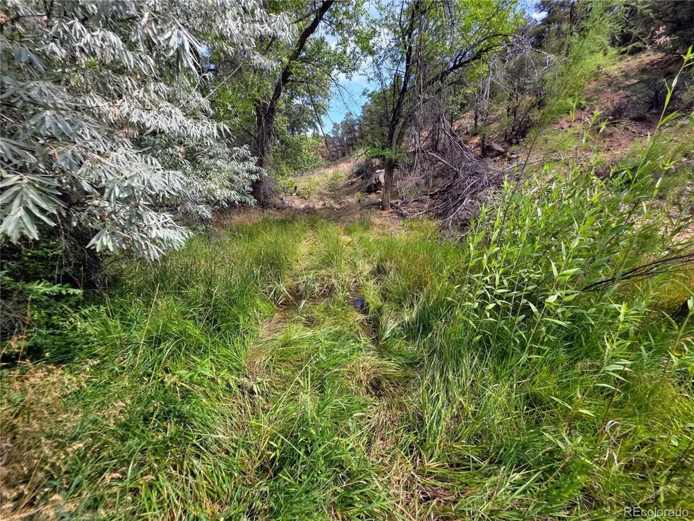 291 County Road 51 Cotopaxi, CO 81223