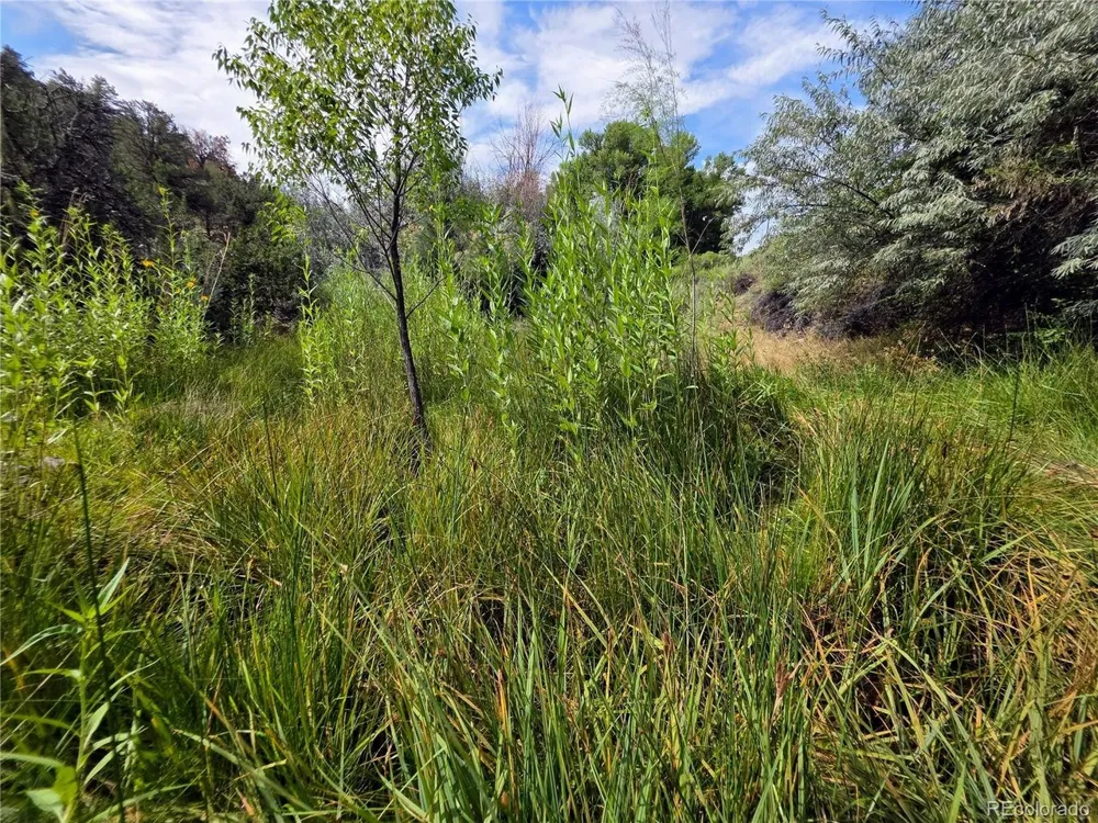 291 County Road 51 Cotopaxi, CO 81223