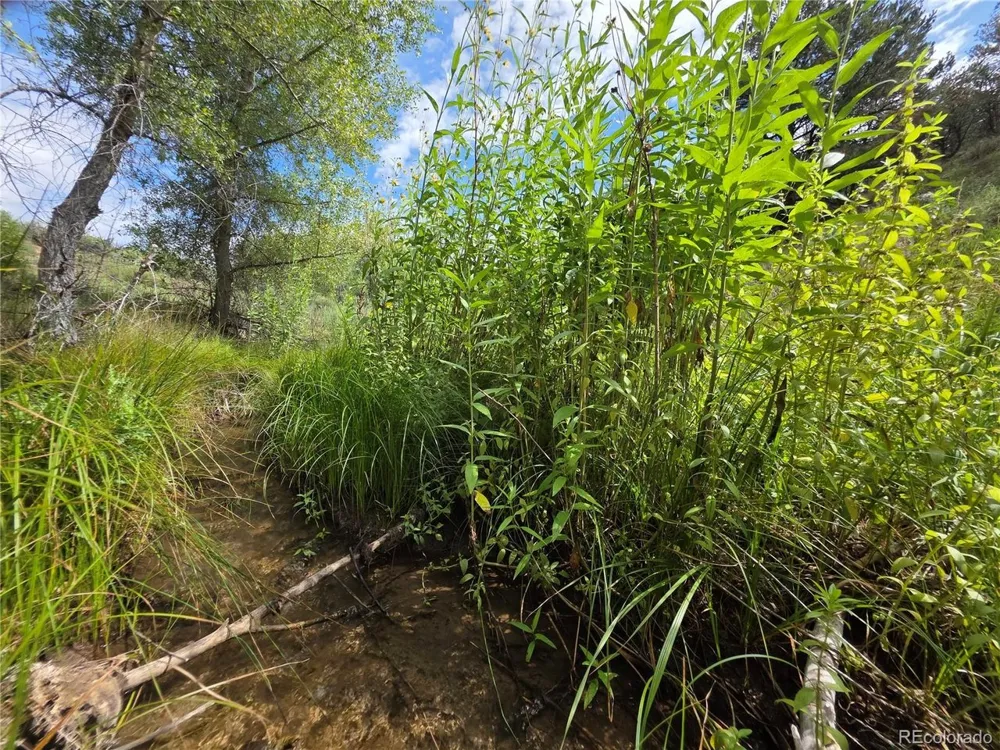 291 County Road 51 Cotopaxi, CO 81223
