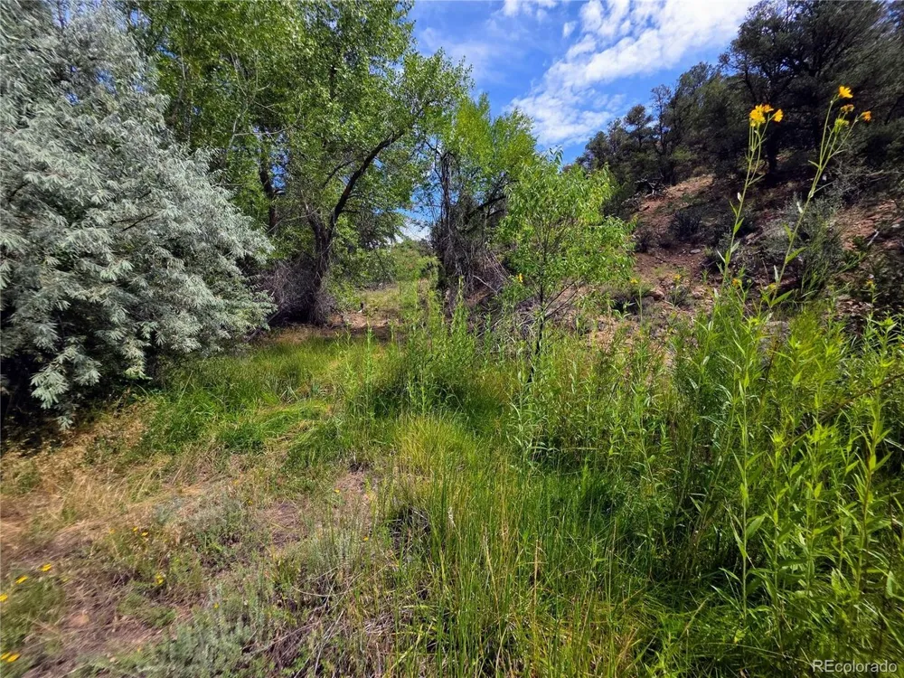 291 County Road 51 Cotopaxi, CO 81223