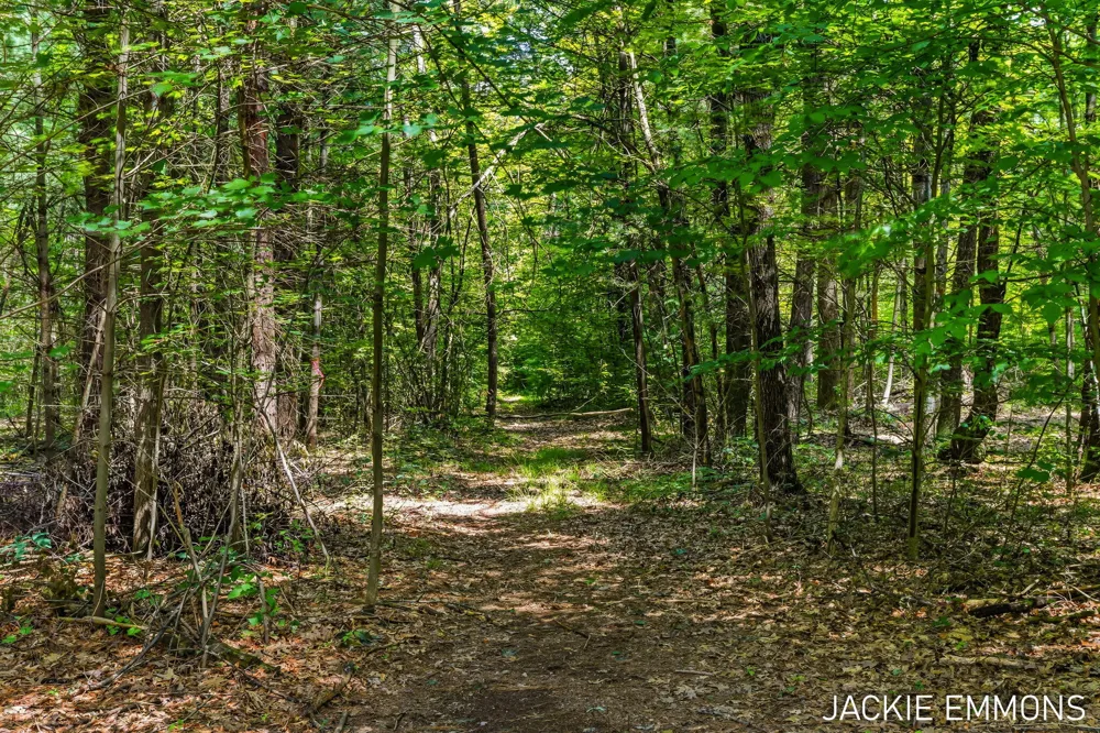 22672 W Kendaville Road Pierson Township, MI 49339