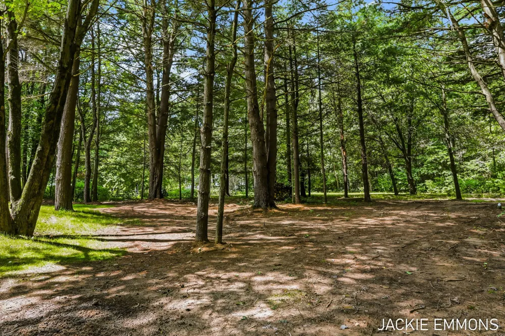 22672 W Kendaville Road Pierson Township, MI 49339