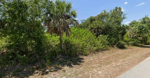 10209 COCOA BEACH STREET