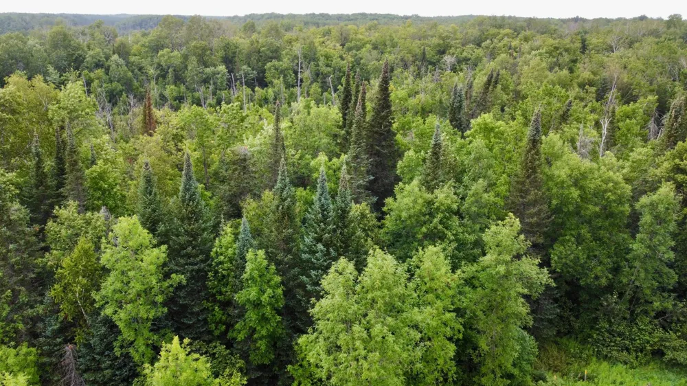 15512 Highway 27 Sturgeon Lake, MN 55783