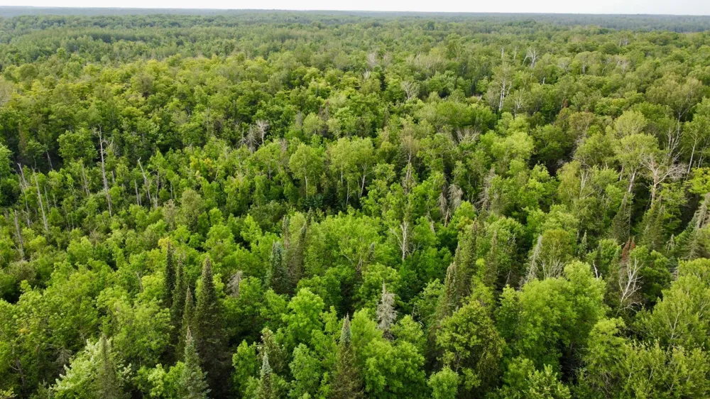 15512 Highway 27 Sturgeon Lake, MN 55783