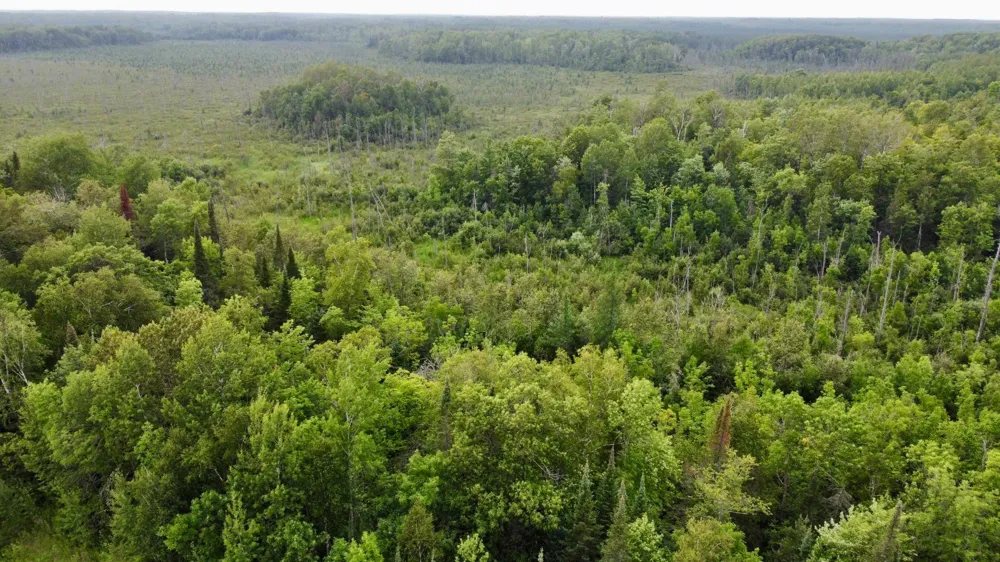 15512 Highway 27 Sturgeon Lake, MN 55783