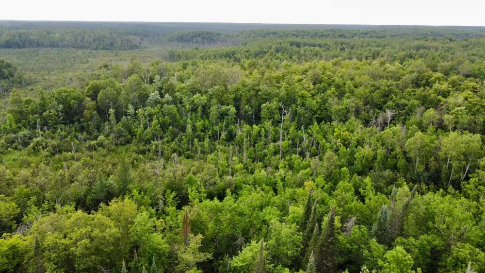 15512 Highway 27 Sturgeon Lake, MN 55783