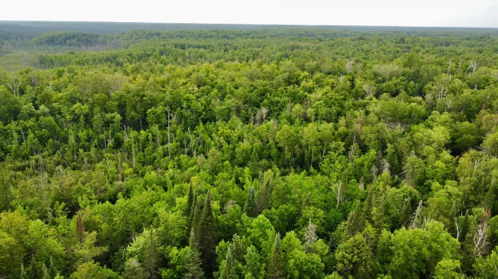 15512 Highway 27 Sturgeon Lake, MN 55783