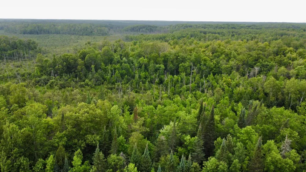 15512 Highway 27 Sturgeon Lake, MN 55783