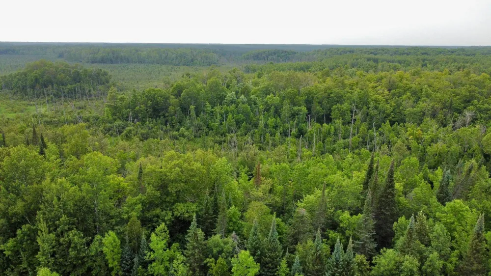 15512 Highway 27 Sturgeon Lake, MN 55783