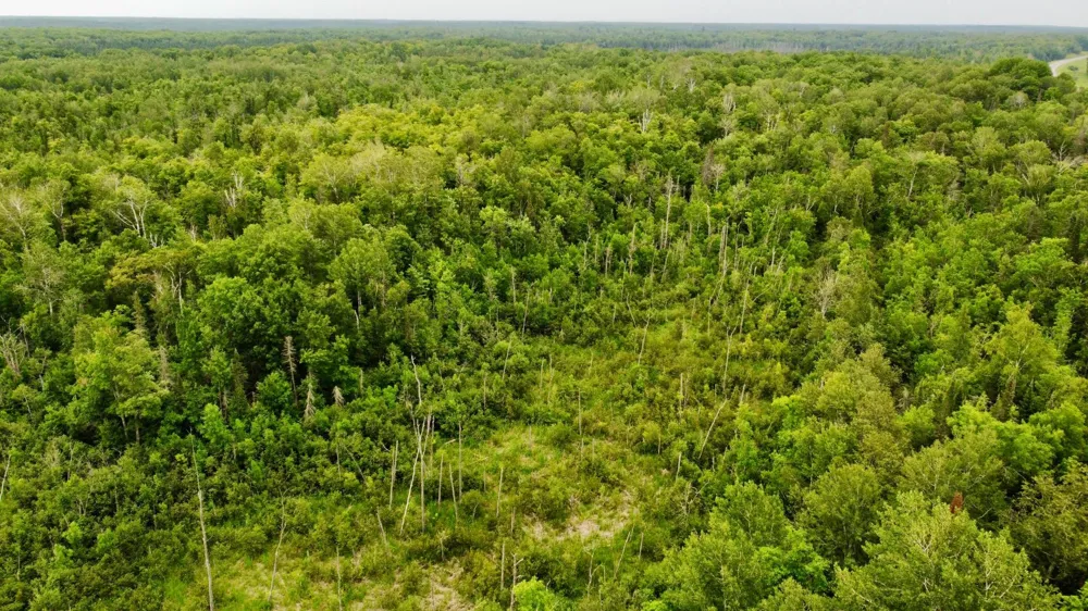 15512 Highway 27 Sturgeon Lake, MN 55783