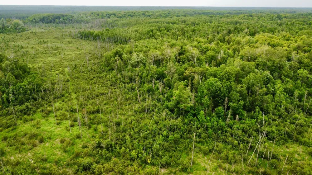 15512 Highway 27 Sturgeon Lake, MN 55783