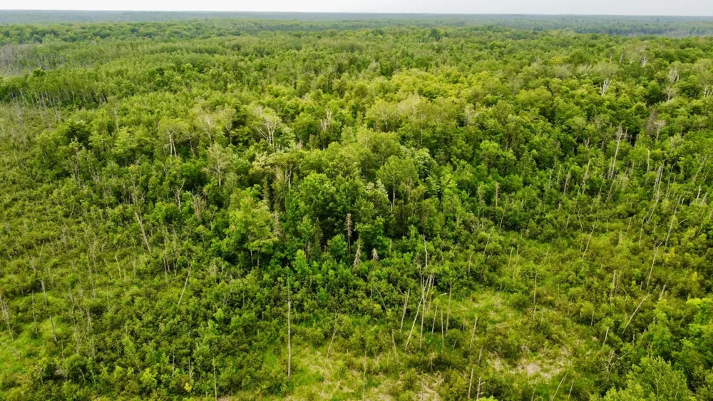 15512 Highway 27 Sturgeon Lake, MN 55783