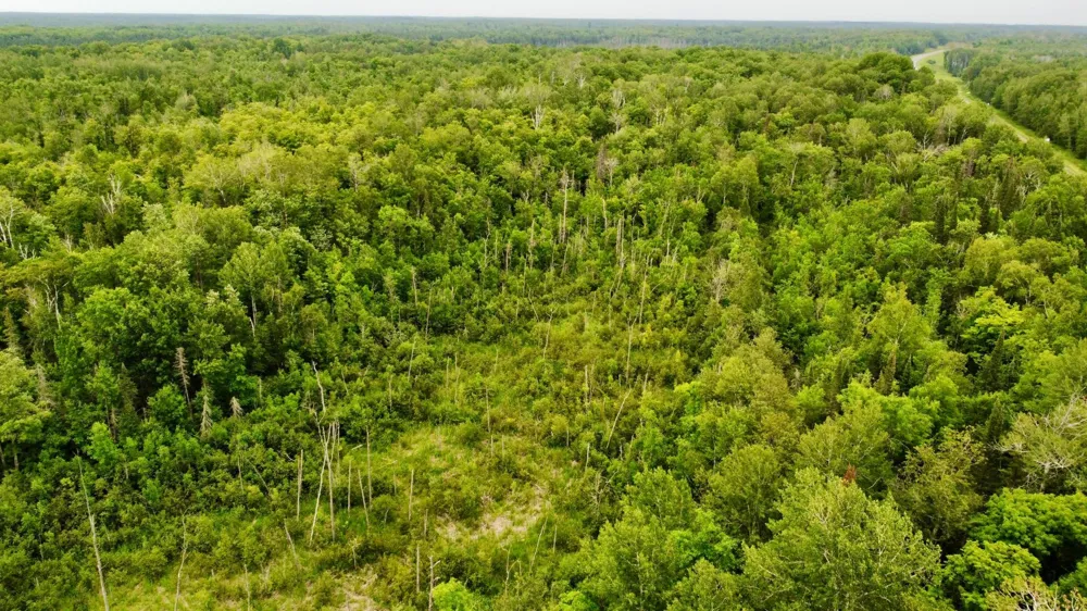 15512 Highway 27 Sturgeon Lake, MN 55783