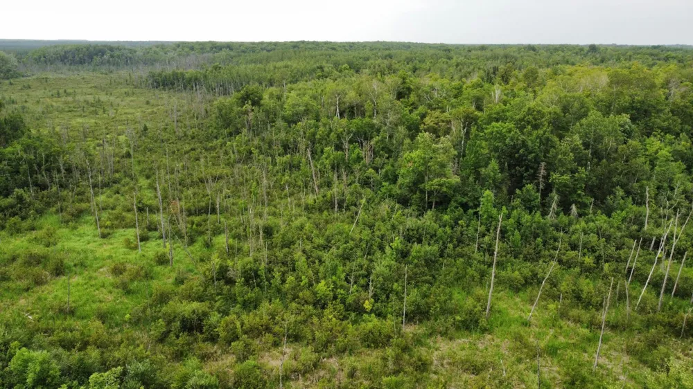 15512 Highway 27 Sturgeon Lake, MN 55783