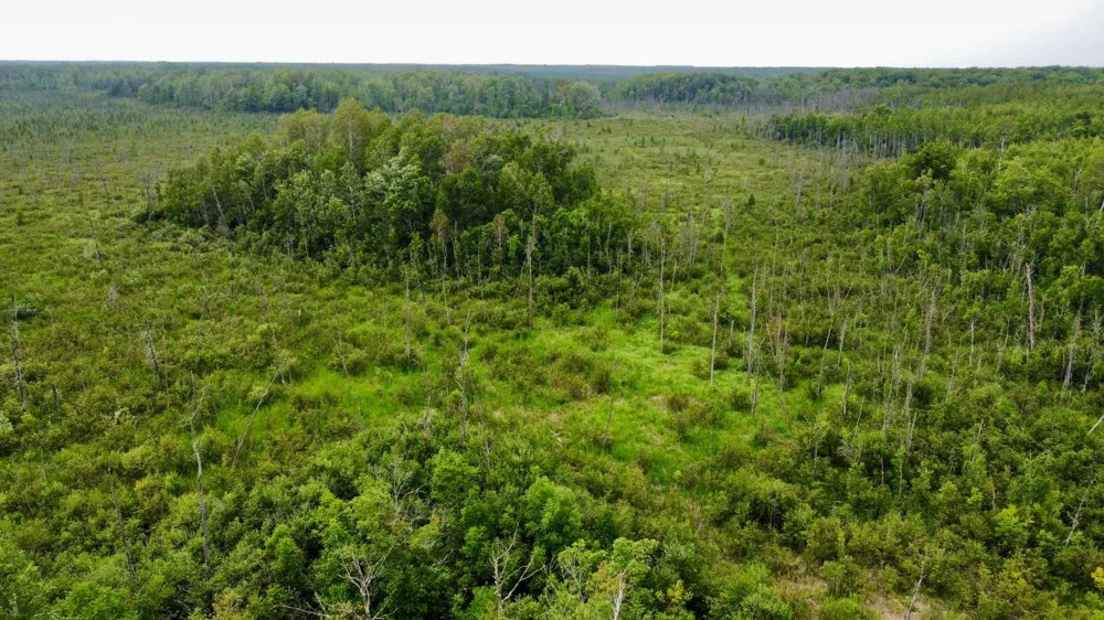15512 Highway 27 Sturgeon Lake, MN 55783