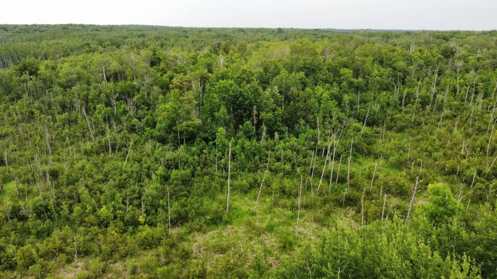 15512 Highway 27 Sturgeon Lake, MN 55783