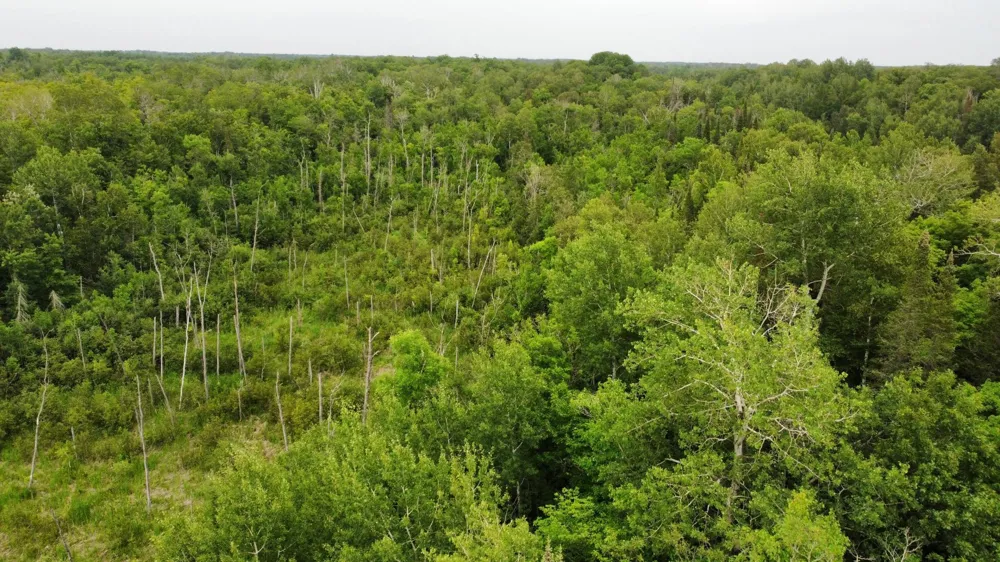15512 Highway 27 Sturgeon Lake, MN 55783