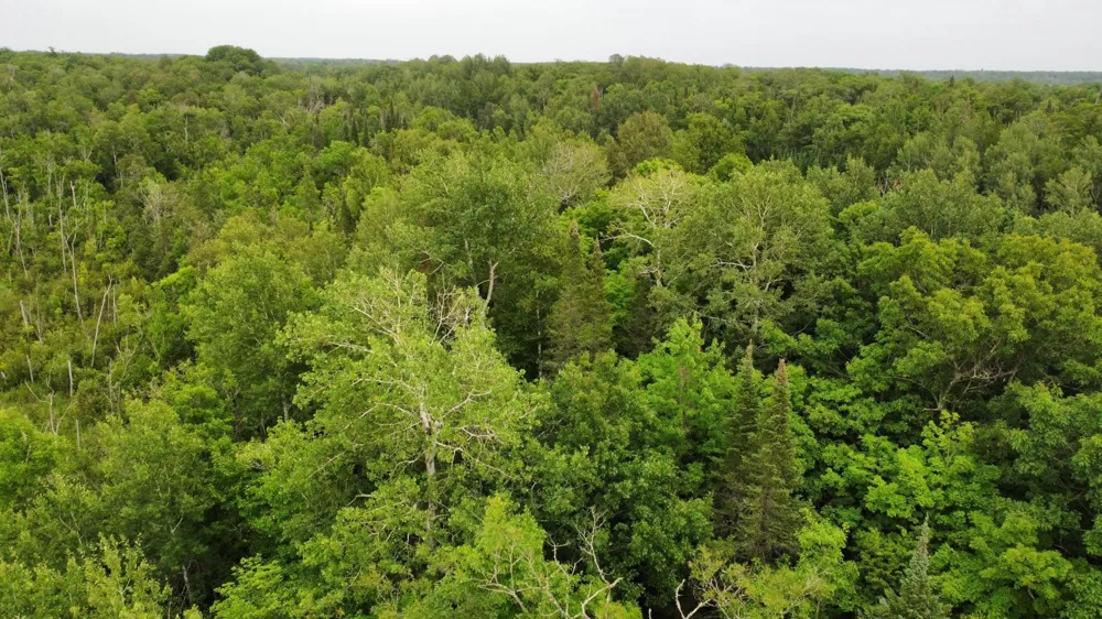 15512 Highway 27 Sturgeon Lake, MN 55783